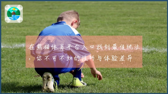在熊猫体育平台入口找到最佳玩法，你不可不知的技巧与体验差异