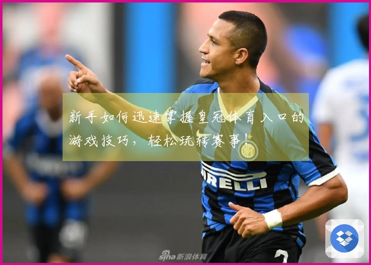 新手如何迅速掌握皇冠体育入口的游戏技巧，轻松玩转赛事！