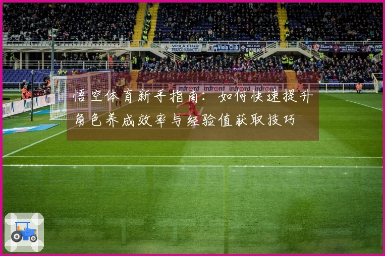 悟空体育新手指南：如何快速提升角色养成效率与经验值获取技巧
