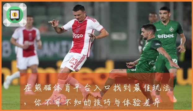 在熊猫体育平台入口找到最佳玩法，你不可不知的技巧与体验差异
